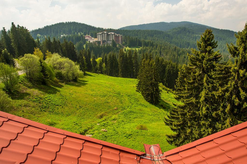 Snezhanka Hotel Pamporovo Exterior foto